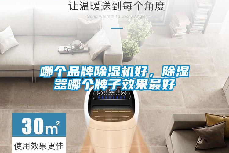 哪個品牌除濕機(jī)好,除濕器哪個牌子效果最好