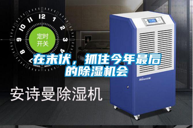 在末伏，抓住今年最后的除濕機(jī)會