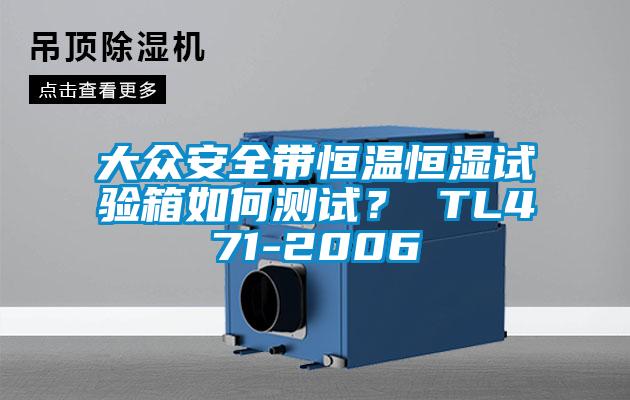 大眾安全帶恒溫恒濕試驗(yàn)箱如何測試？ TL471-2006