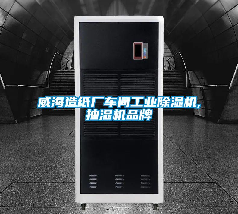威海造紙廠車間工業除濕機,抽濕機品牌