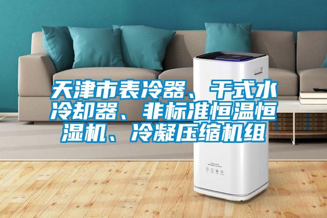 天津市表冷器、干式水冷卻器、非標準恒溫恒濕機、冷凝壓縮機組