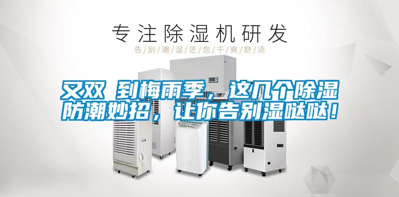 又雙叒到梅雨季，這幾個除濕防潮妙招，讓你告別濕噠噠！