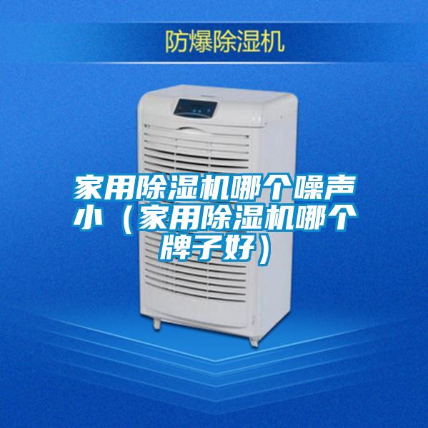 家用除濕機哪個噪聲?。矣贸凉駲C哪個牌子好）