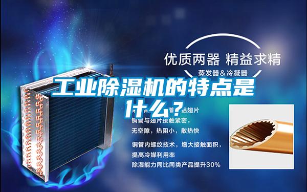 工業(yè)除濕機的特點是什么?