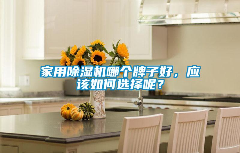 家用除濕機哪個牌子好，應該如何選擇呢？