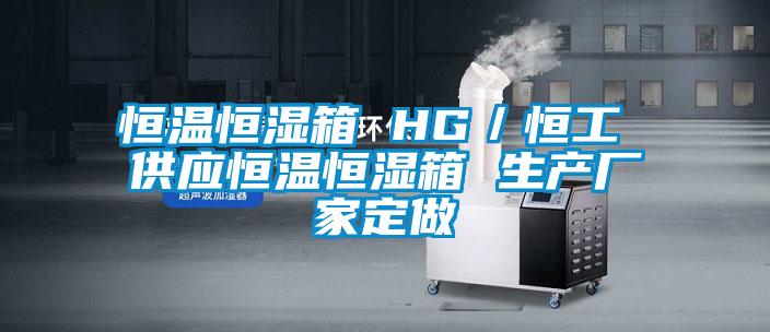 恒溫恒濕箱 HG/恒工 供應恒溫恒濕箱 生產廠家定做