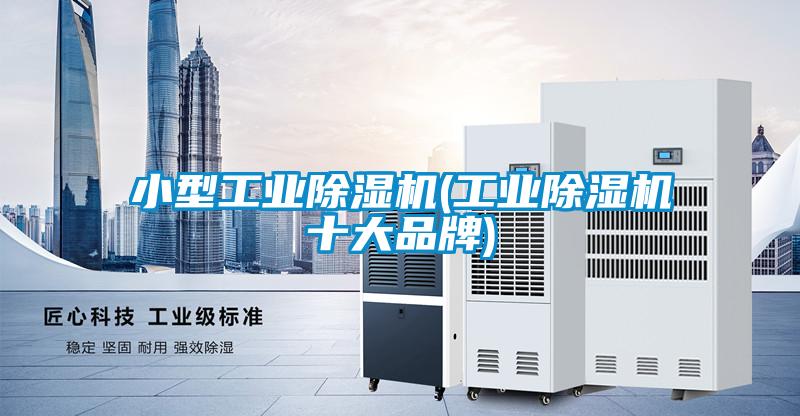 小型工業(yè)除濕機(jī)(工業(yè)除濕機(jī)十大品牌)