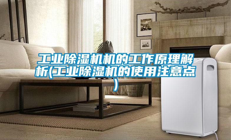 工業除濕機機的工作原理解析(工業除濕機的使用注意點)