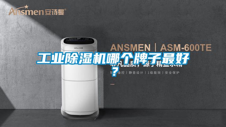 工業(yè)除濕機哪個牌子最好?