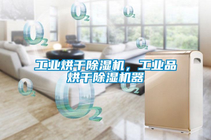 工業(yè)烘干除濕機，工業(yè)品烘干除濕機器