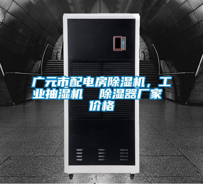 廣元市配電房除濕機，工業(yè)抽濕機  除濕器廠家 價格