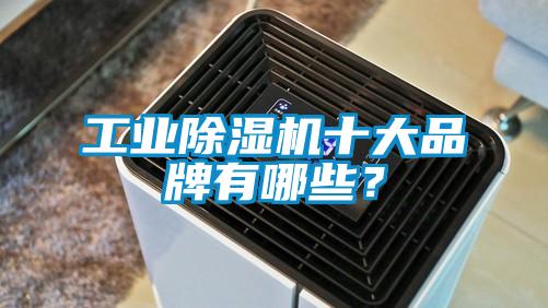 工業除濕機十大品牌有哪些?