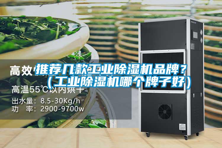 推薦幾款工業(yè)除濕機(jī)品牌?(工業(yè)除濕機(jī)哪個(gè)牌子好)