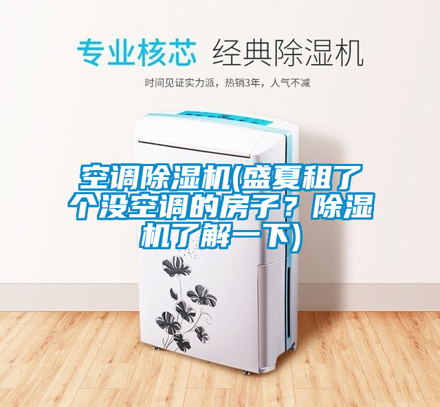 空調除濕機(盛夏租了個沒空調的房子?除濕機了解一下)
