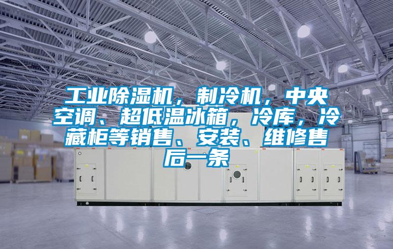 工業(yè)除濕機，制冷機，中央空調(diào)、超低溫冰箱，冷庫，冷藏柜等銷售、安裝、維修售后一條