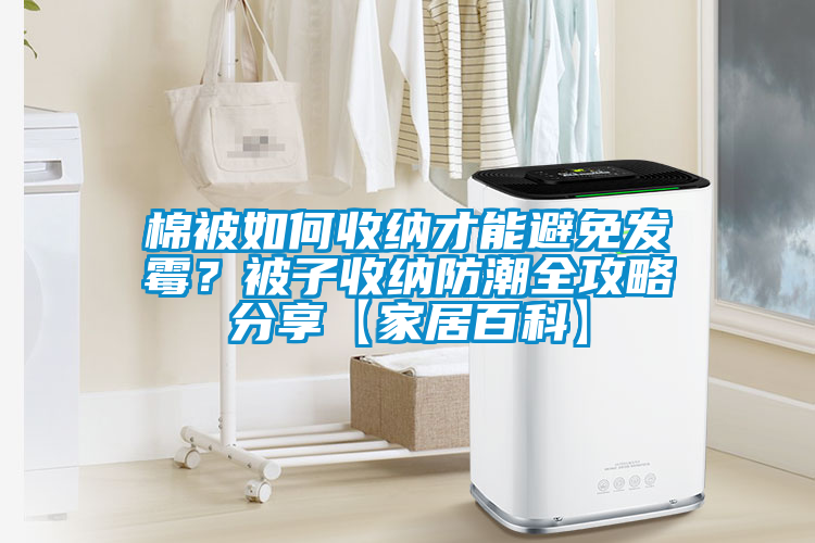 棉被如何收納才能避免發(fā)霉?被子收納防潮全攻略分享【家居百科】