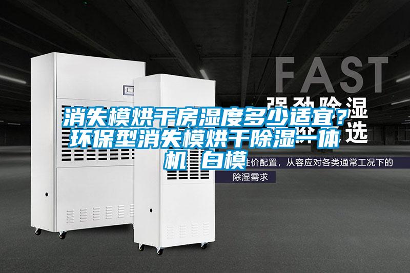 消失模烘干房濕度多少適宜?環(huán)保型消失模烘干除濕一體機(jī) 白模