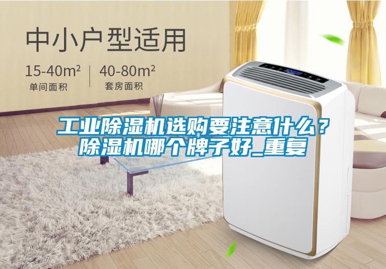 工業除濕機選購要注意什么?除濕機哪個牌子好_重復