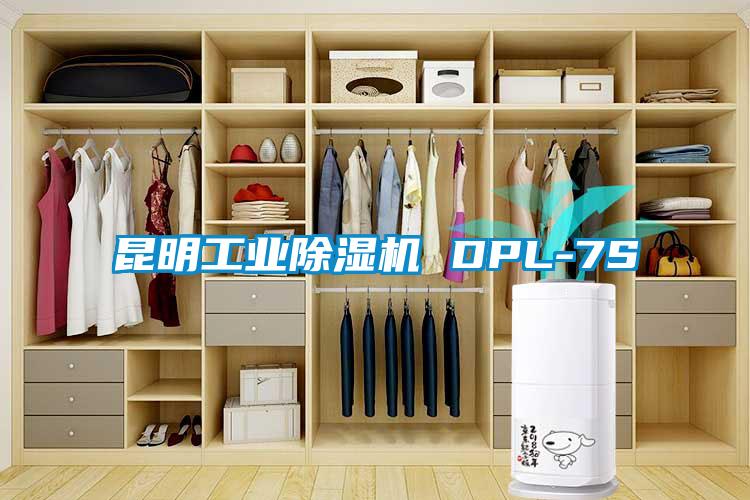 昆明工業除濕機 DPL-7S