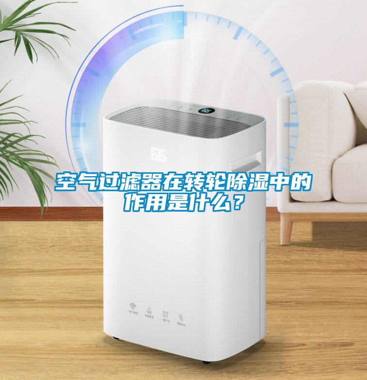 空氣過濾器在轉(zhuǎn)輪除濕中的作用是什么?