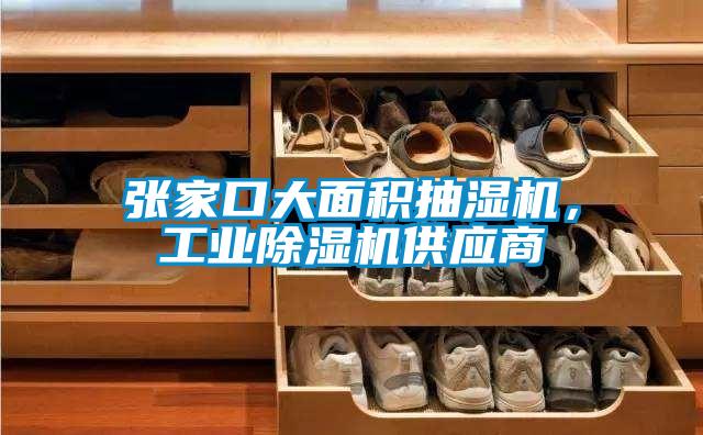 張家口大面積抽濕機，工業除濕機供應商