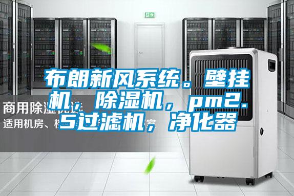 布朗新風系統。壁掛機，除濕機，pm2.5過濾機，凈化器