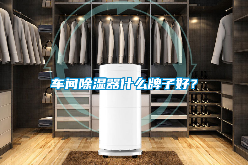 車間除濕器什么牌子好?