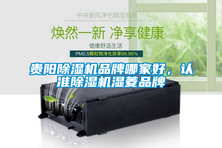 貴陽除濕機品牌哪家好，認準除濕機濕菱品牌