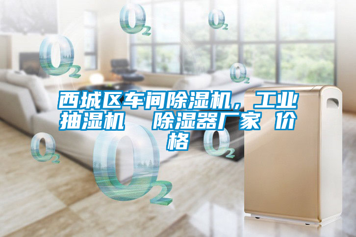 西城區(qū)車間除濕機(jī)，工業(yè)抽濕機(jī)  除濕器廠家 價(jià)格