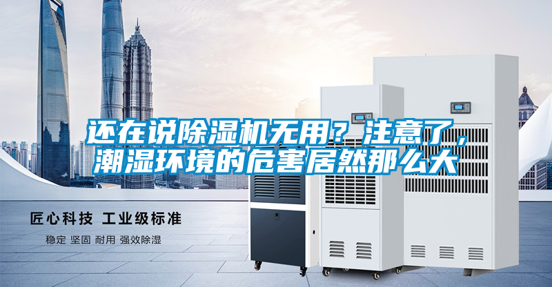 還在說除濕機無用?注意了,潮濕環(huán)境的危害居然那么大
