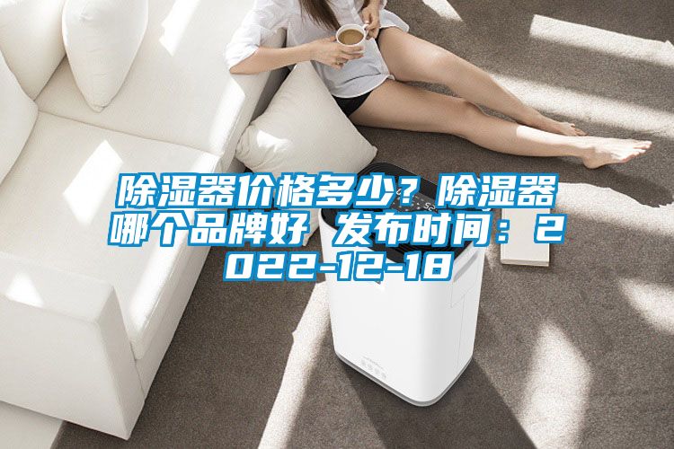 除濕器價格多少？除濕器哪個品牌好 發(fā)布時間：2022-12-18