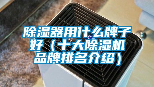 除濕器用什么牌子好(十大除濕機品牌排名介紹)